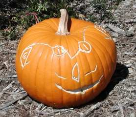 The Pirate, Nipomo Pumpkin Patch best carving ideaa